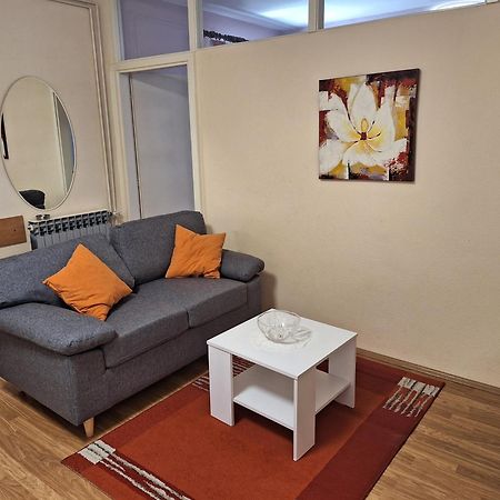 Apartments Gojka Miocevic بيوغْغاد نا موغو المظهر الخارجي الصورة